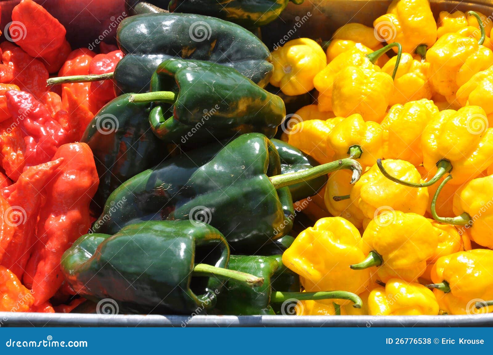 Hot Chili Peppers stock photo. Image of capsicum, flavor 26776538