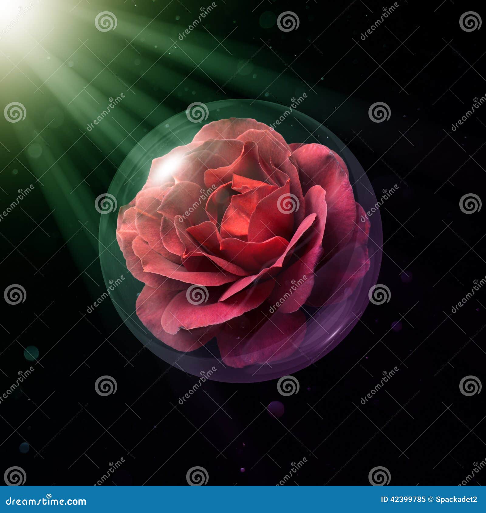 Hot Cocoa Rose In Glass Globe Stock Image - Image of single, flower