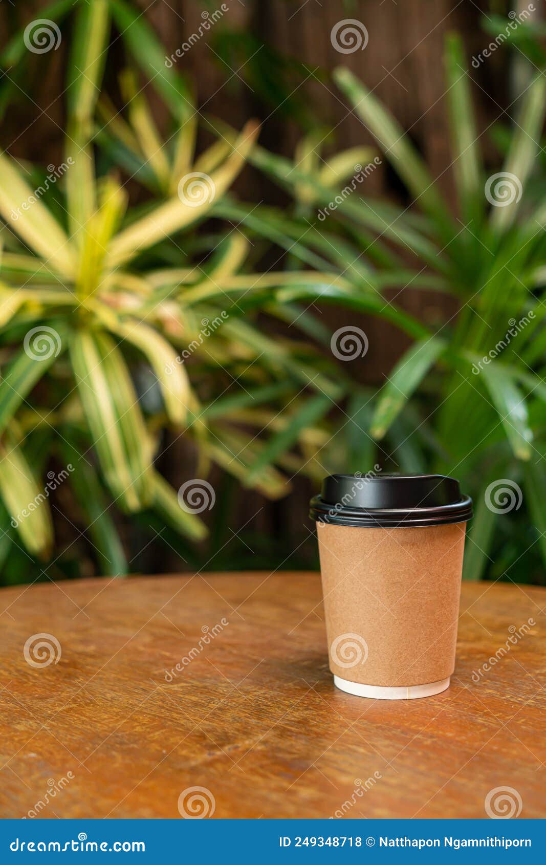 Hot Coffee Cup on Wood Table Stock Photo Image of disposable, closeup