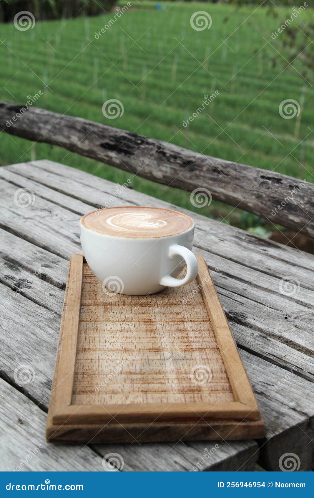 Hot coffee on wooden plate stock photo. Image of arabica 256946954