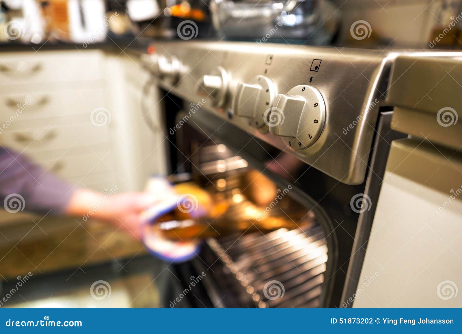 Hot dish in oven stock photo. Image of cooking, baking 51873202