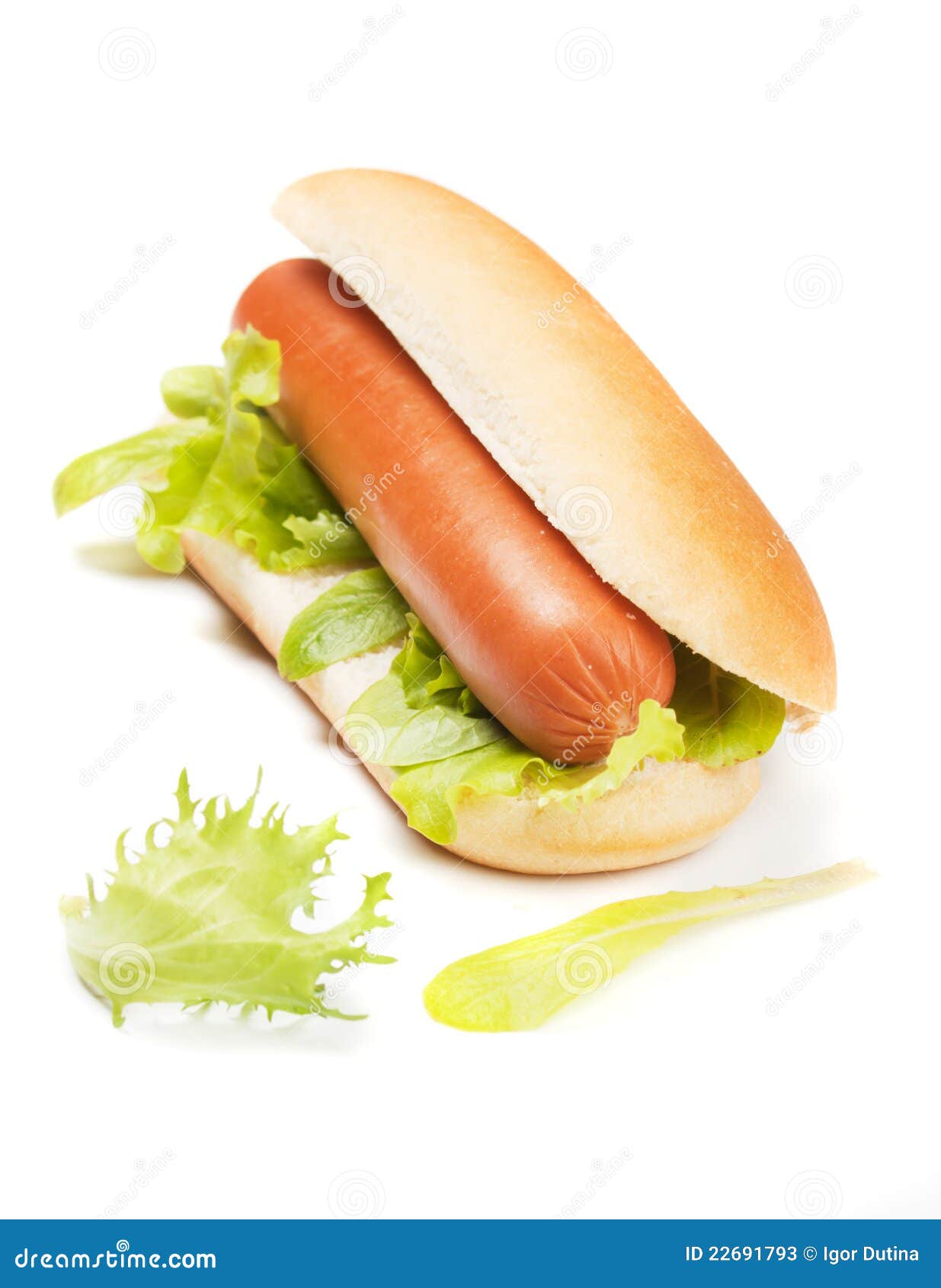 Hot dog with lettuce stock image. Image of vertical, photograph 22691793
