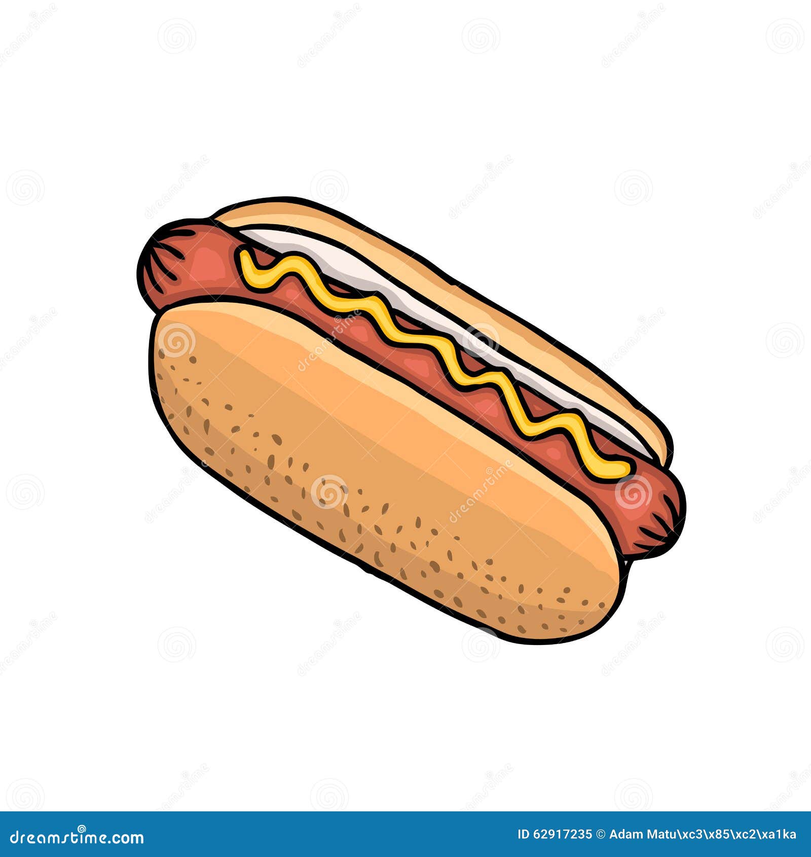 Hot dog stock vector. Illustration of drawing, isolated 62917235