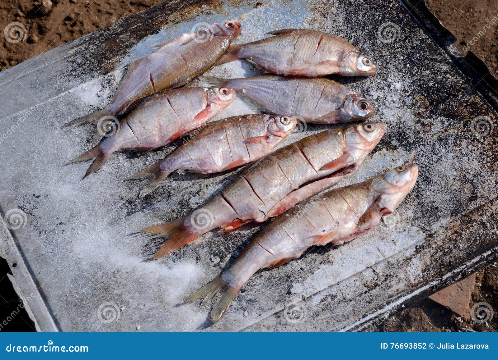Hot Fish on a Grilling Pan September 2, 2016 Stock Photo Image of