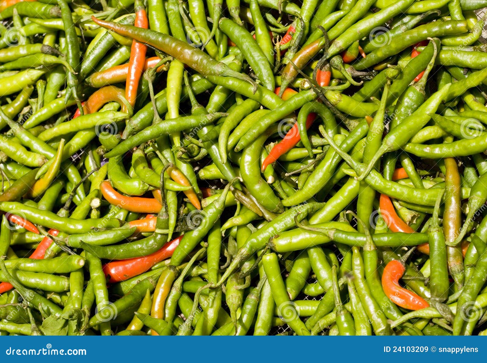 Hot Green and Red Peppers stock image. Image of peppers 24103209