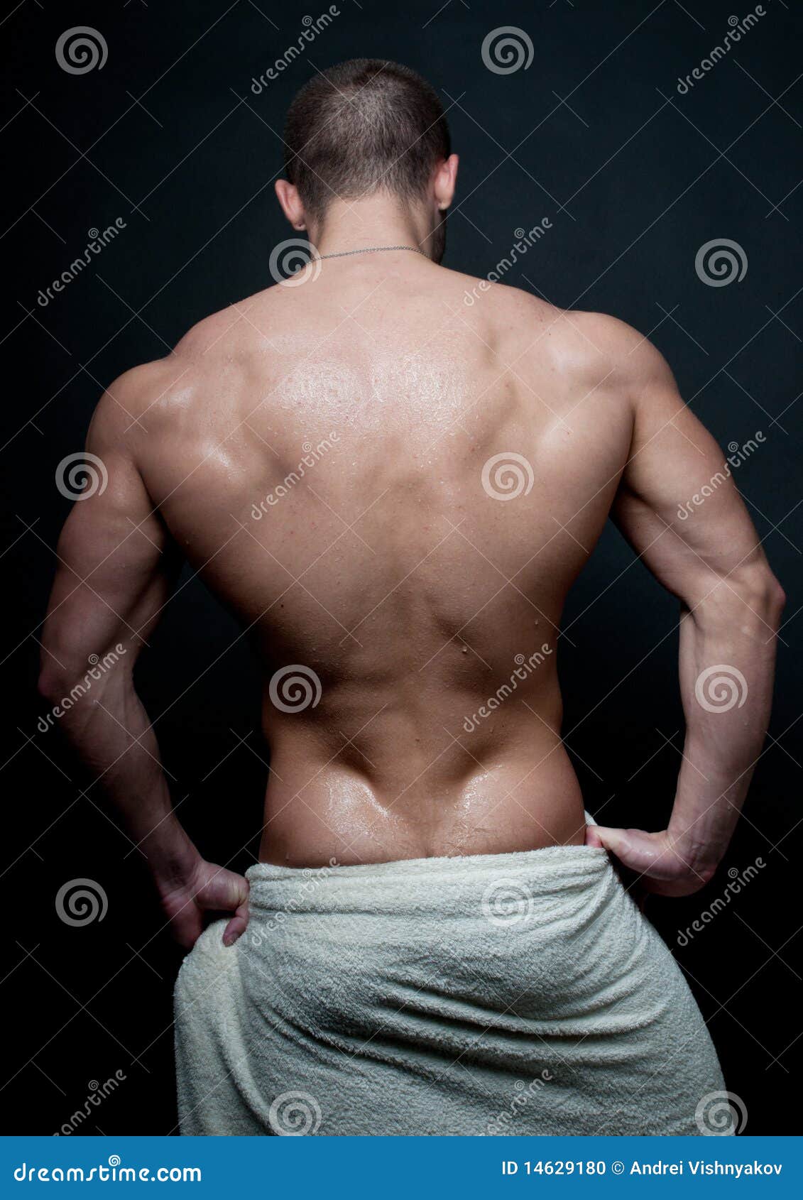 Hot male model stock photo. Image of handsome, strong - 14629180