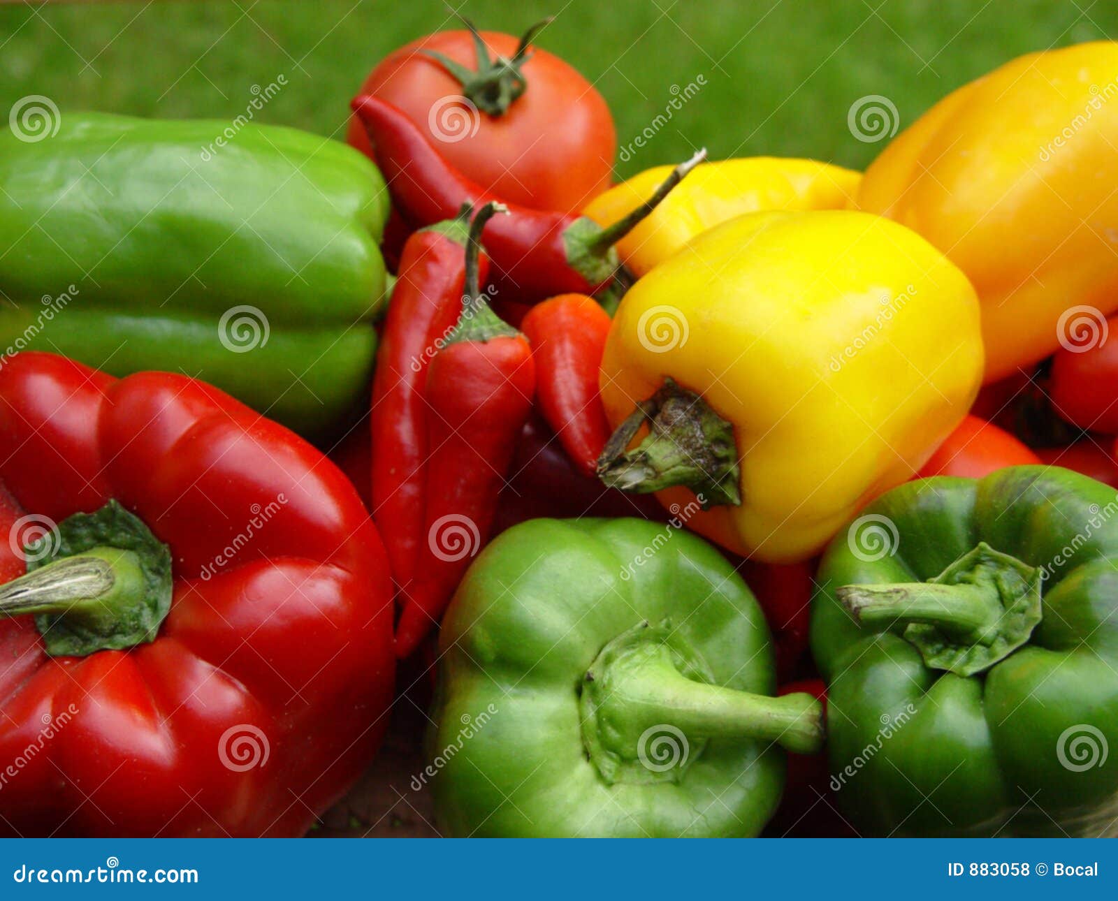 Hot paprika stock photo. Image of salad, farm, tomato, cayenne 883058