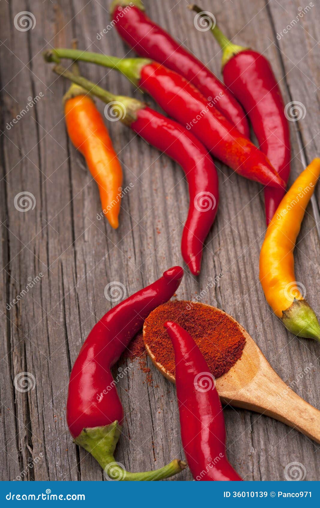 Hot pepper and spices stock image. Image of copy, ingredient 36010139