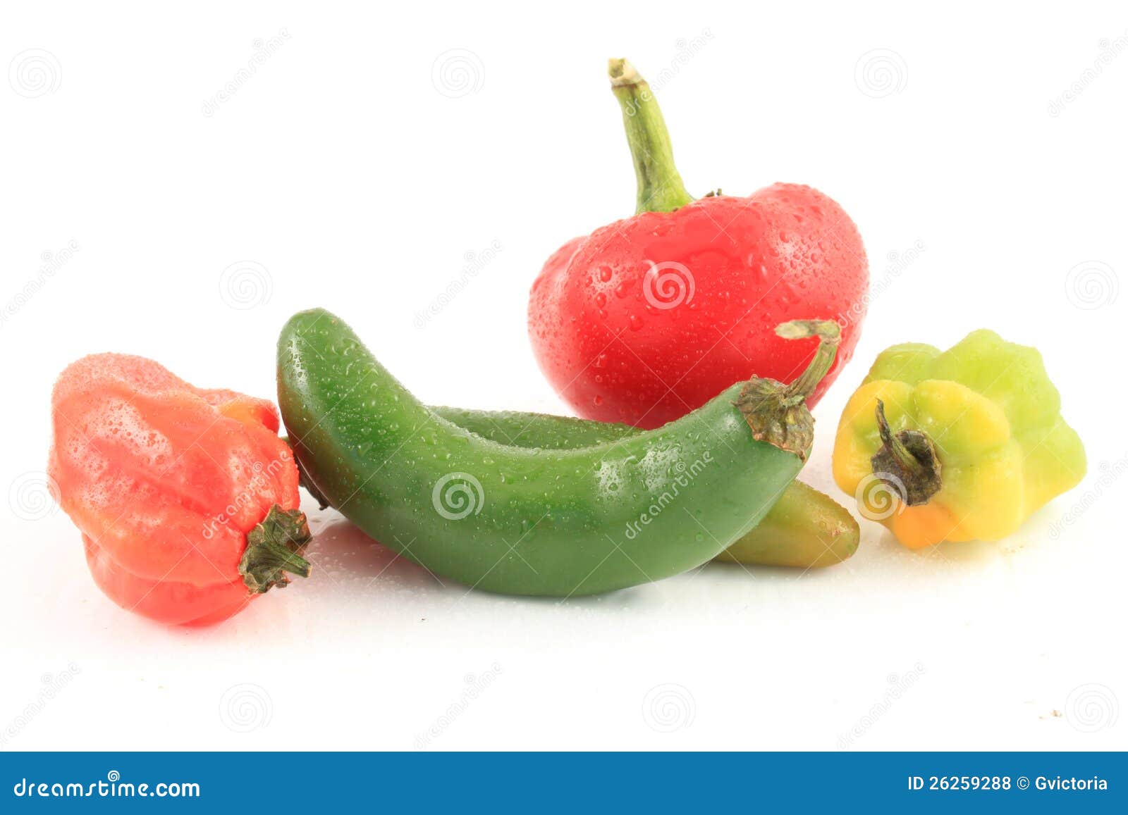 Hot peppers stock photo. Image of mexican, chili, ingredient 26259288