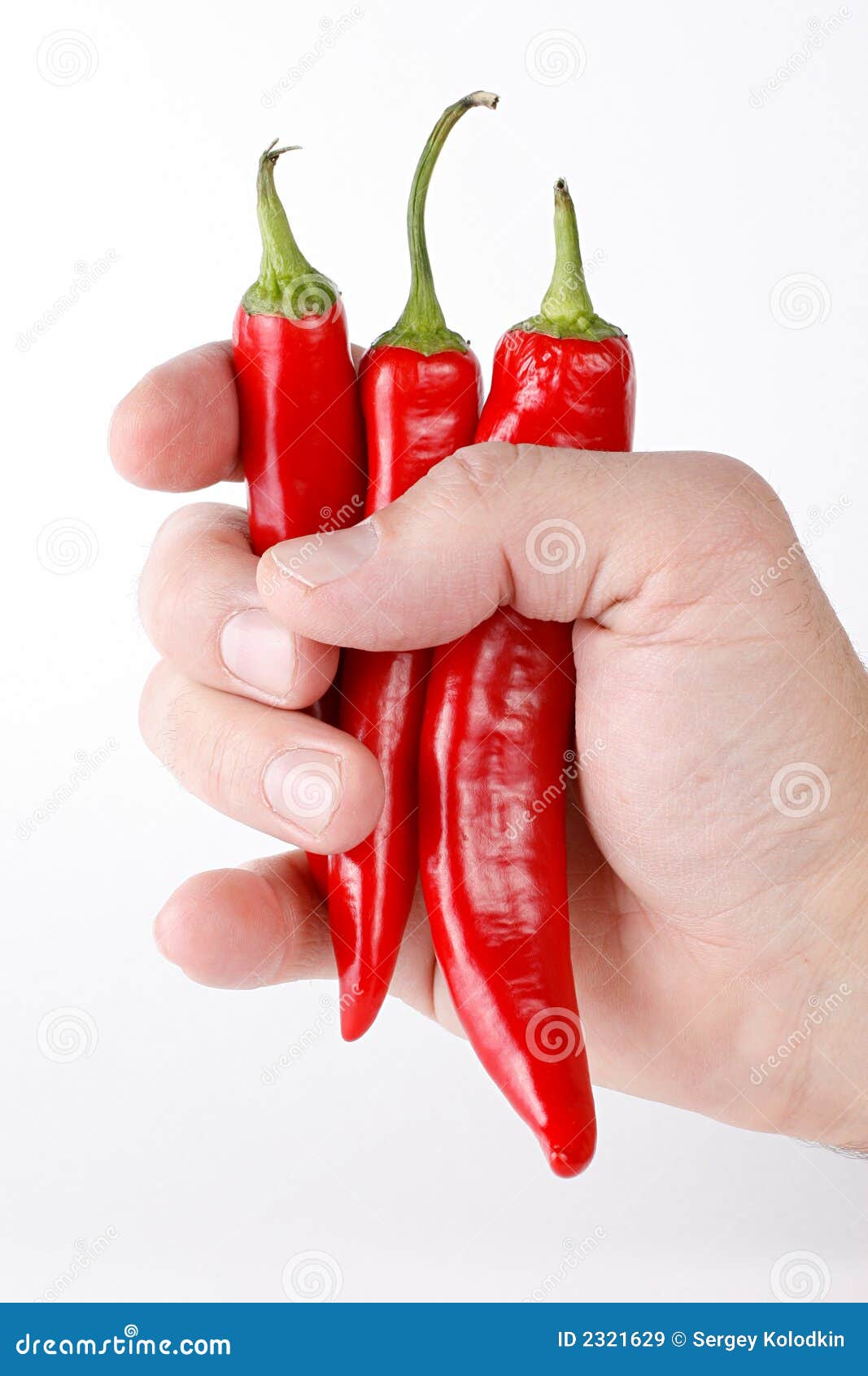 Hot Peppers In Hand Royalty Free Stock Images Image 2321629