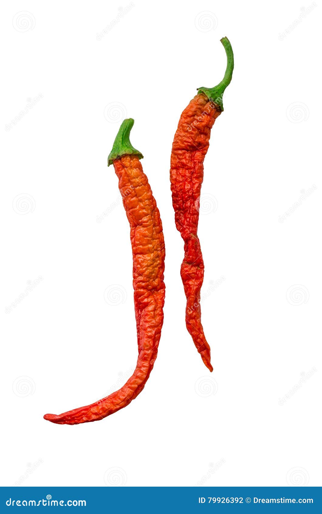 Hot peppers stock photo. Image of isolated, pepper, peppers 79926392