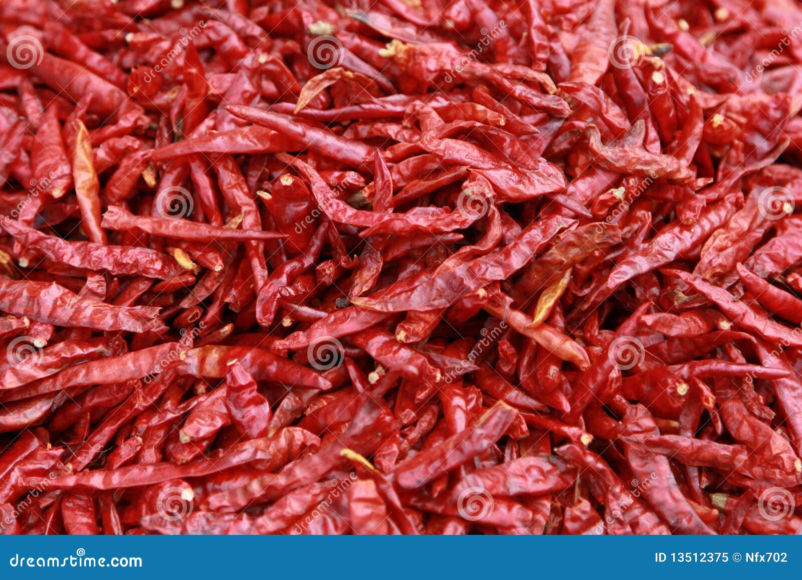 Hot Red Dried Chili Peppers Stock Image Image of macro, dried 13512375