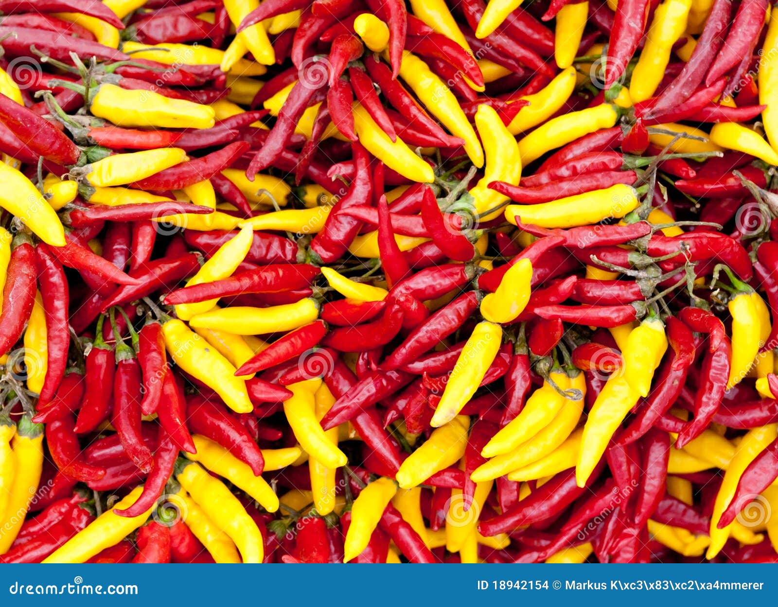 Hot Red and Yellow Chili Pepper Stock Photo Image of healthy