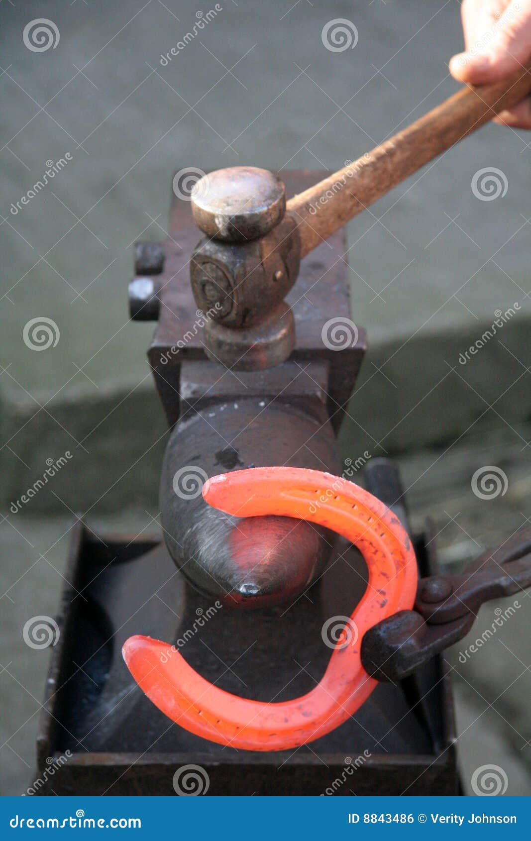 Hot shoe shaping stock photo. Image of rasp, hoof, occupation 8843486