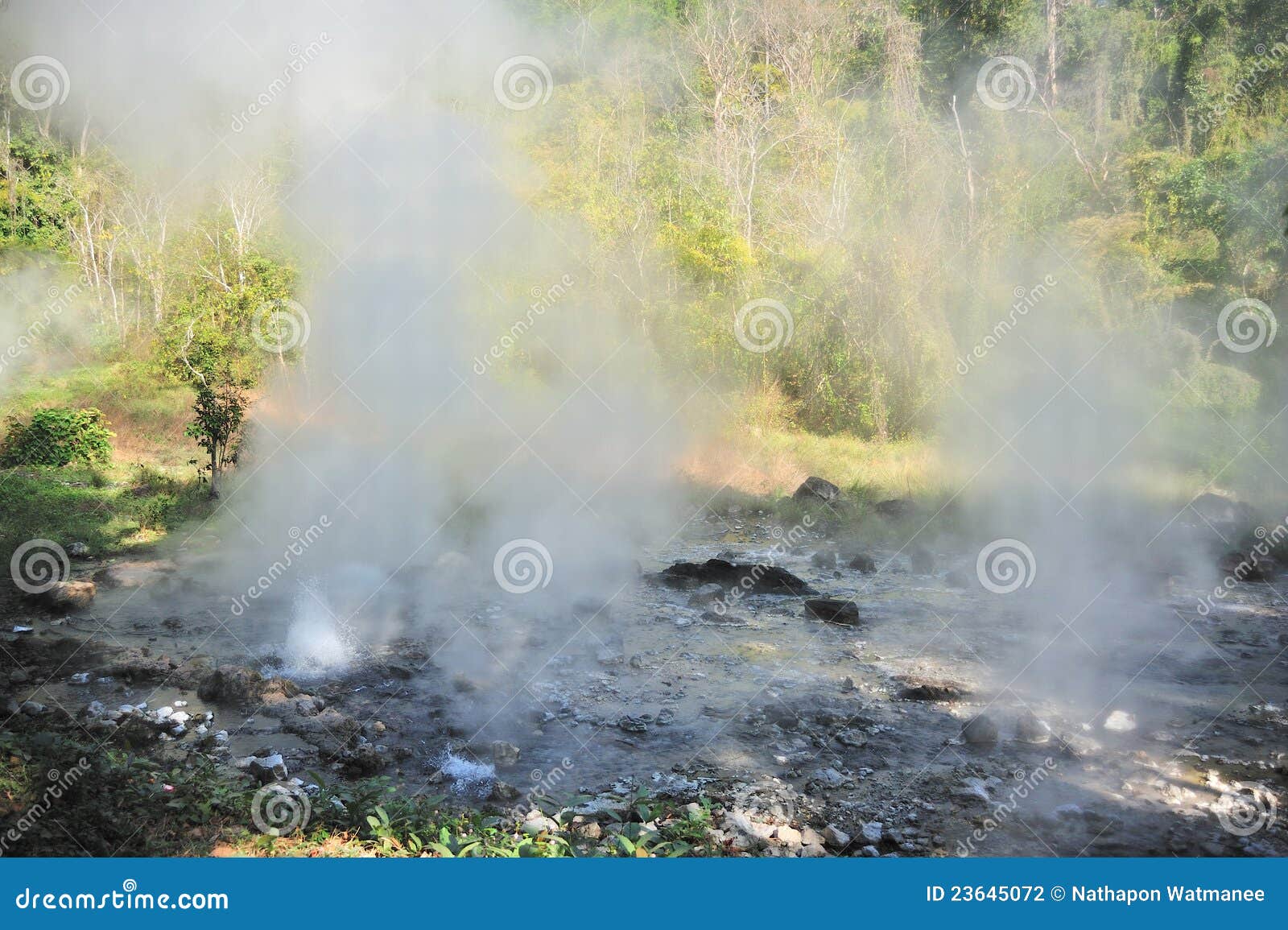 Hot Spring stock photo. Image of natural, palm, arenal - 23645072