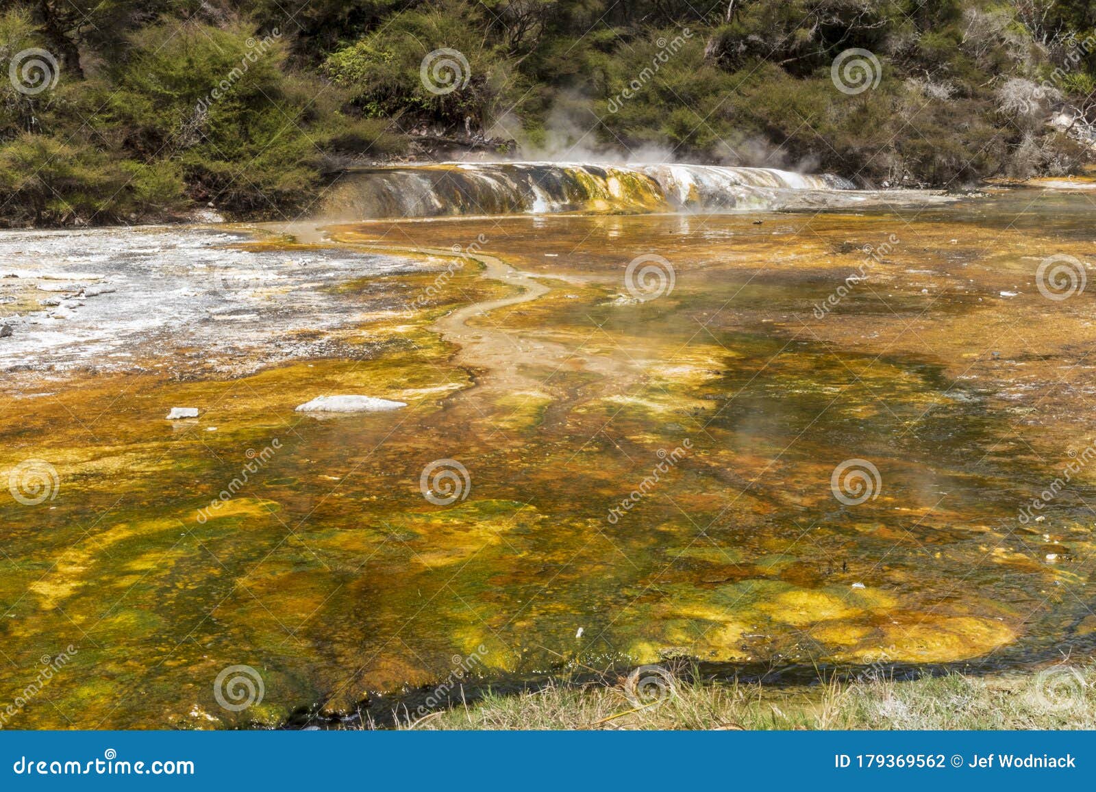 Hot Springs At Waimangu Geothermal Park Stock Photo Image Of