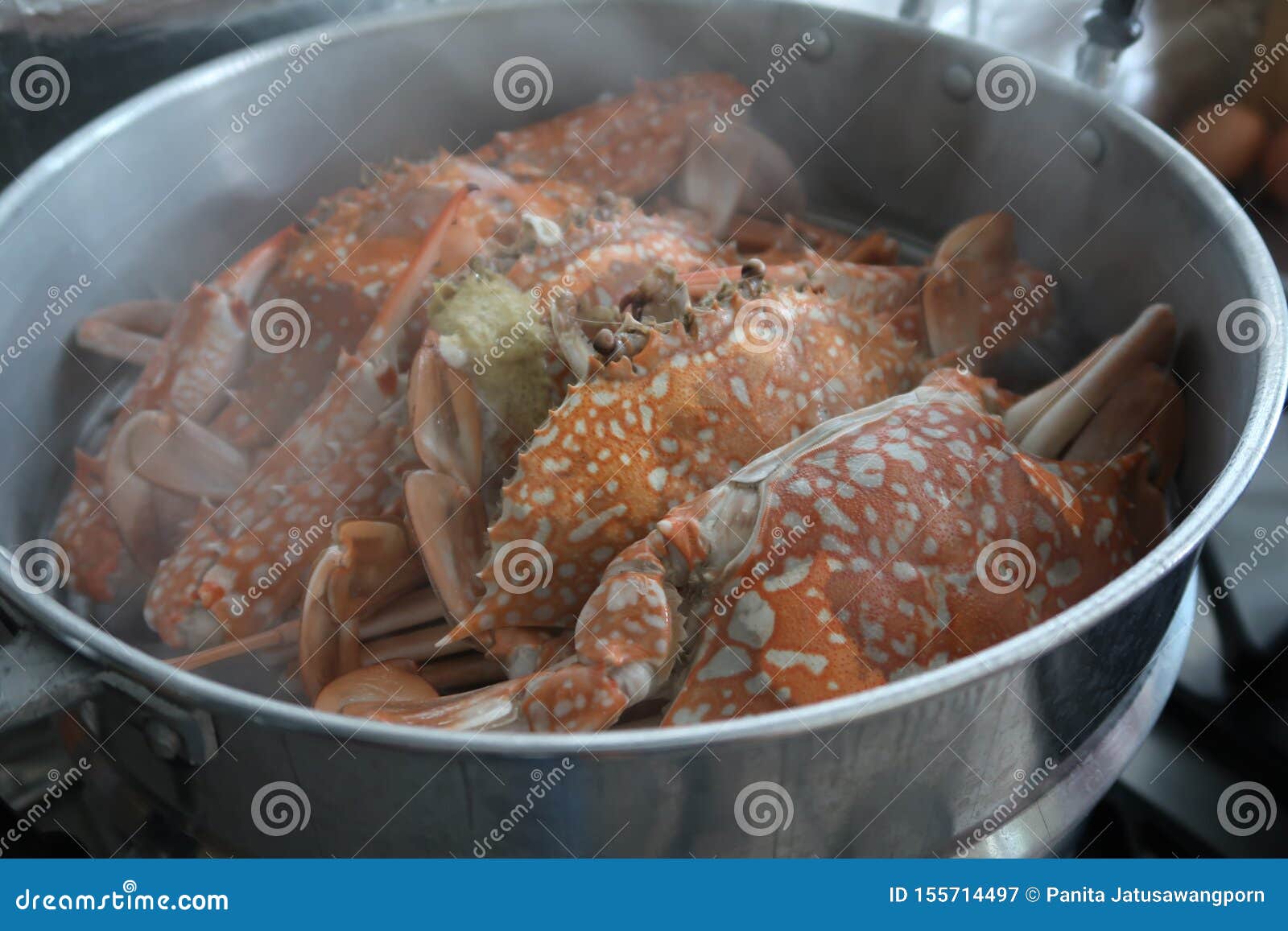 Hot Steamed Blue Crabs in a Pot Stock Image Image of yummy, steamed