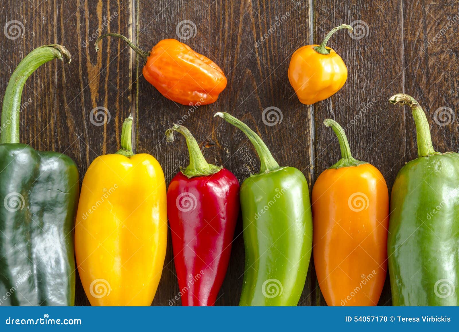 Hot Sweet and Chili Pepper Varieties Stock Photo Image of garden