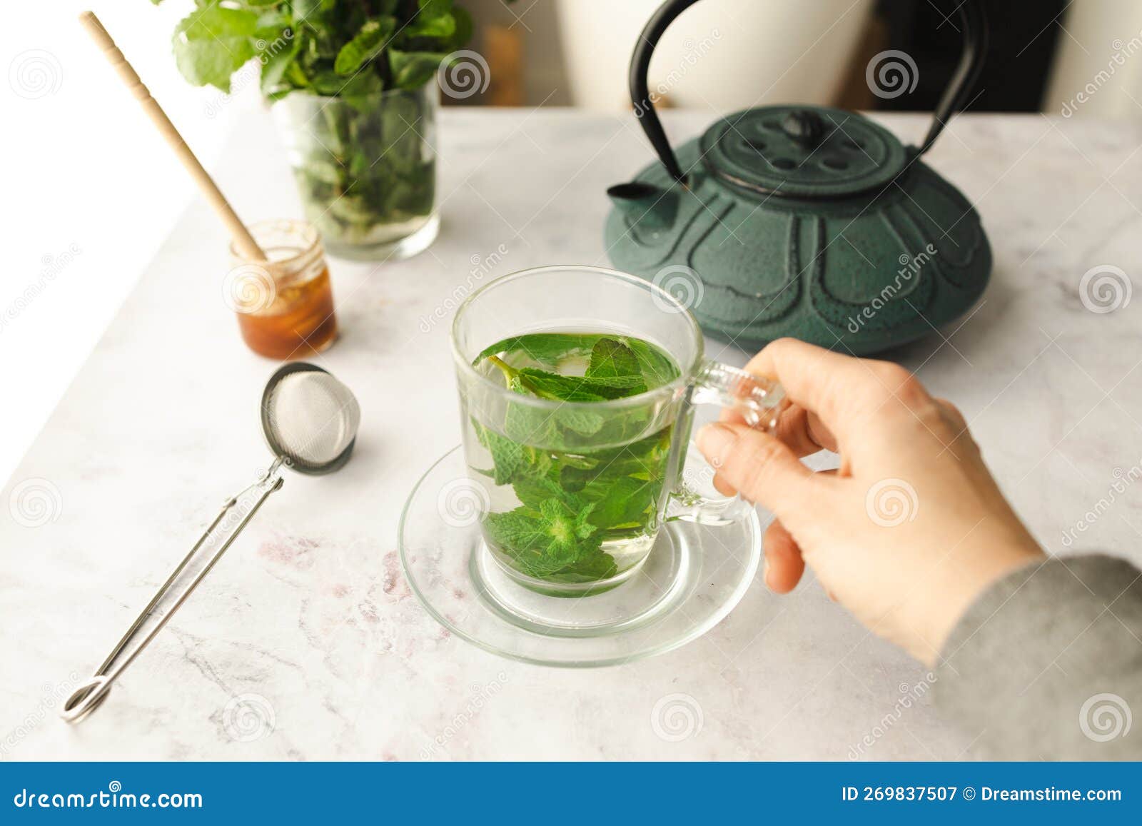 Hot Tea with Fresh Mint Leaves Stock Image Image of infused, helps