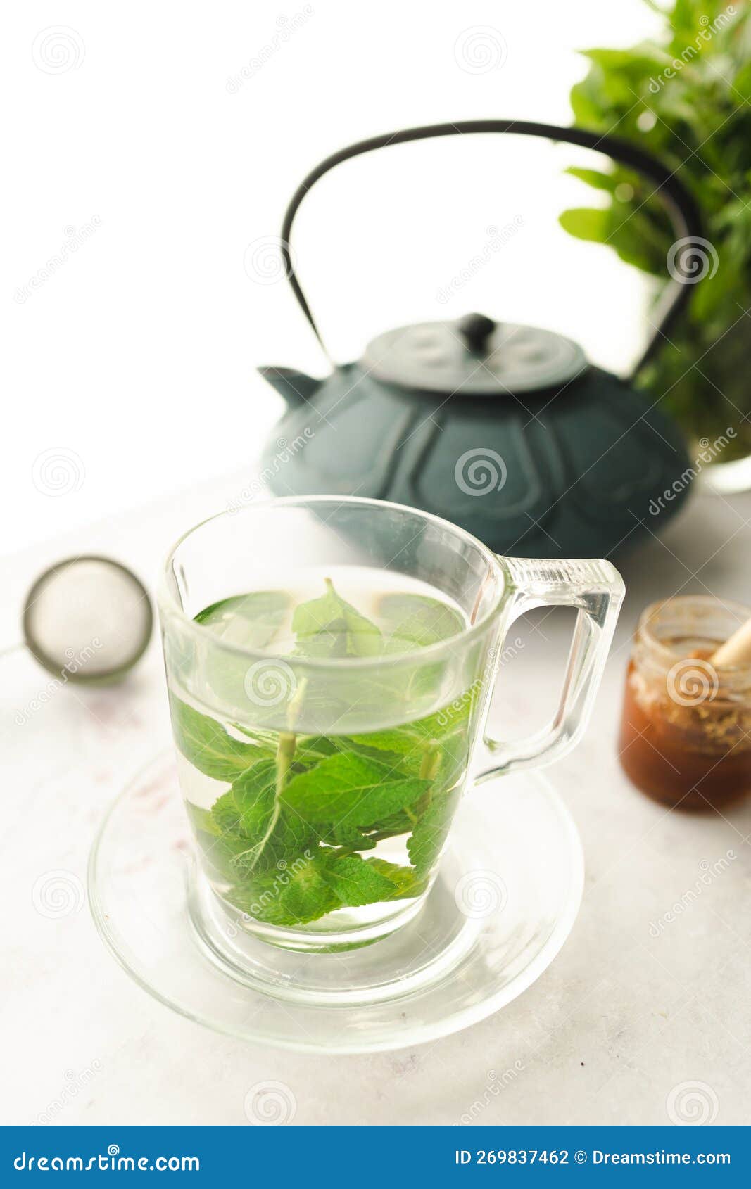 Hot Tea with Fresh Mint Leaves Stock Photo Image of aromatherapy