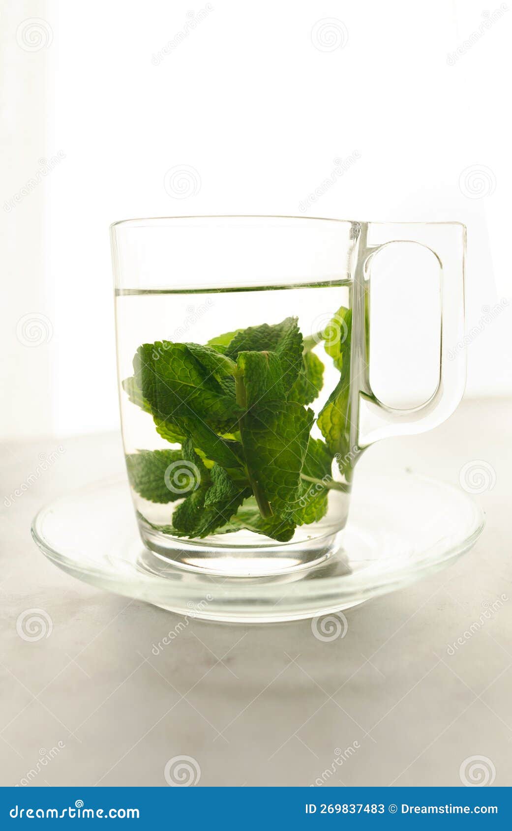 Hot Tea with Fresh Mint Leaves Stock Image Image of digestive, green