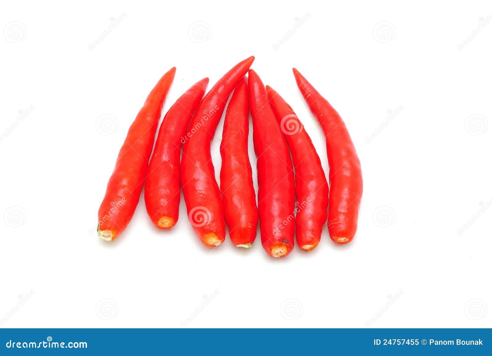 Hot thai chilli stock image. Image of nutritious, background 24757455