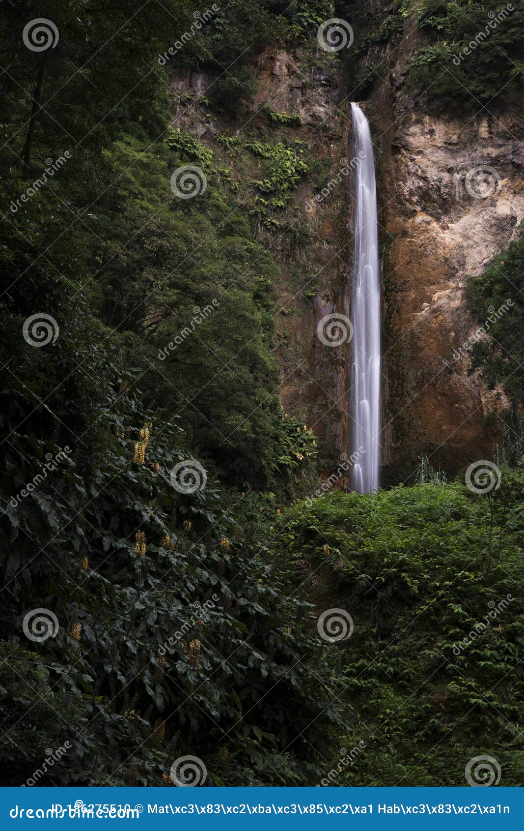 hot waterfall of ribeira acores