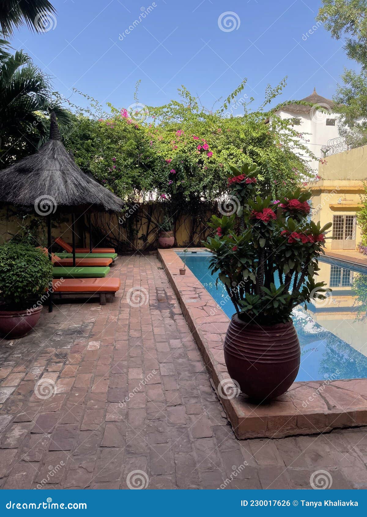 Bamako Mali Hotels; Hotel in Africa, Mali Bamako West Africa Pool Palm Tree Beautiful