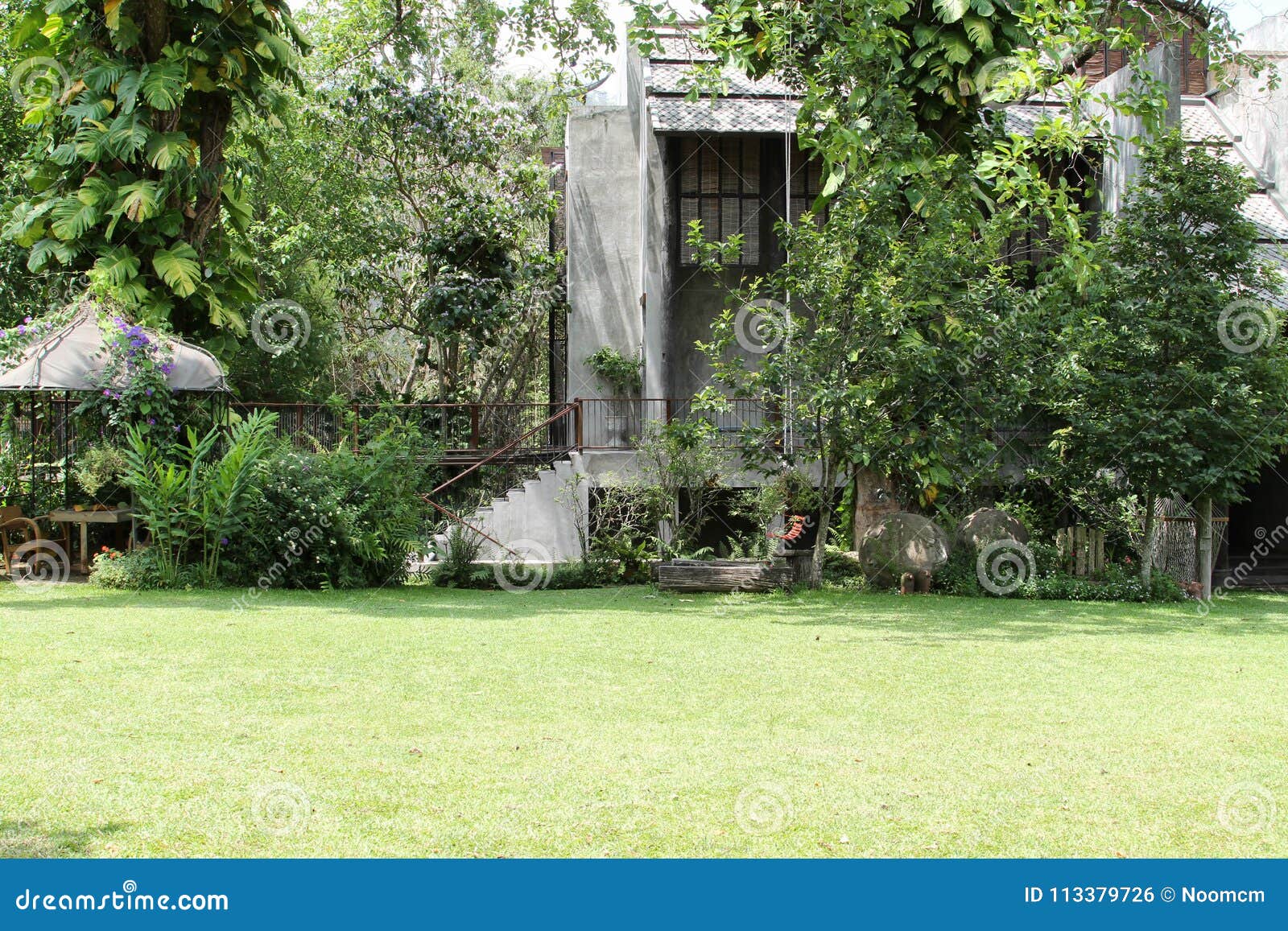 Hotel on a Background of Green Tree Stock Photo Image of plant