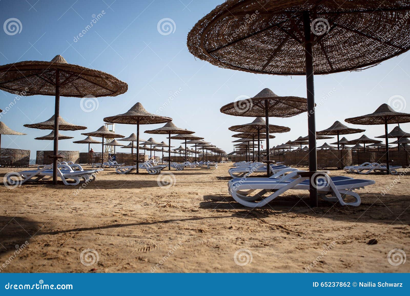 Hotel Beach with Umbrellas in Egypt Stock Photo Image of umbrella, empty 65237862
