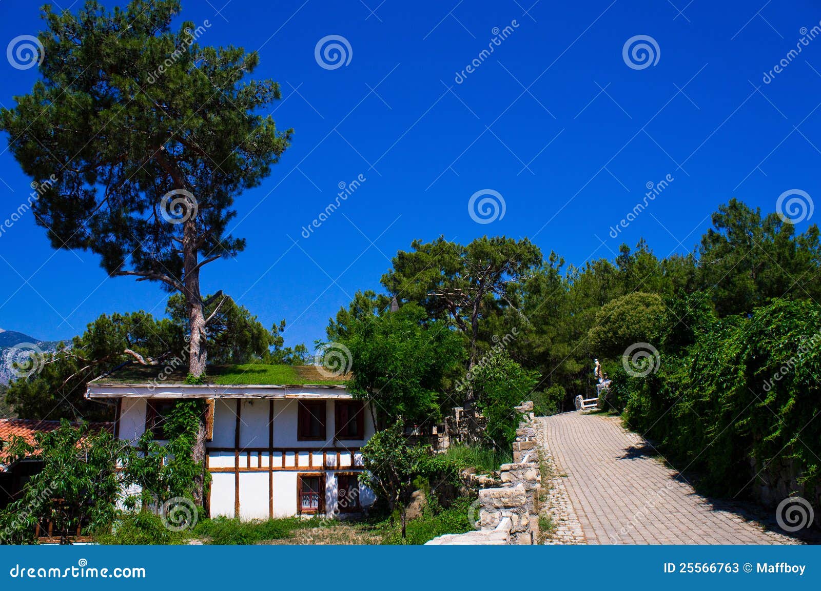 Hotel forest stock image  Image season  building 25566763