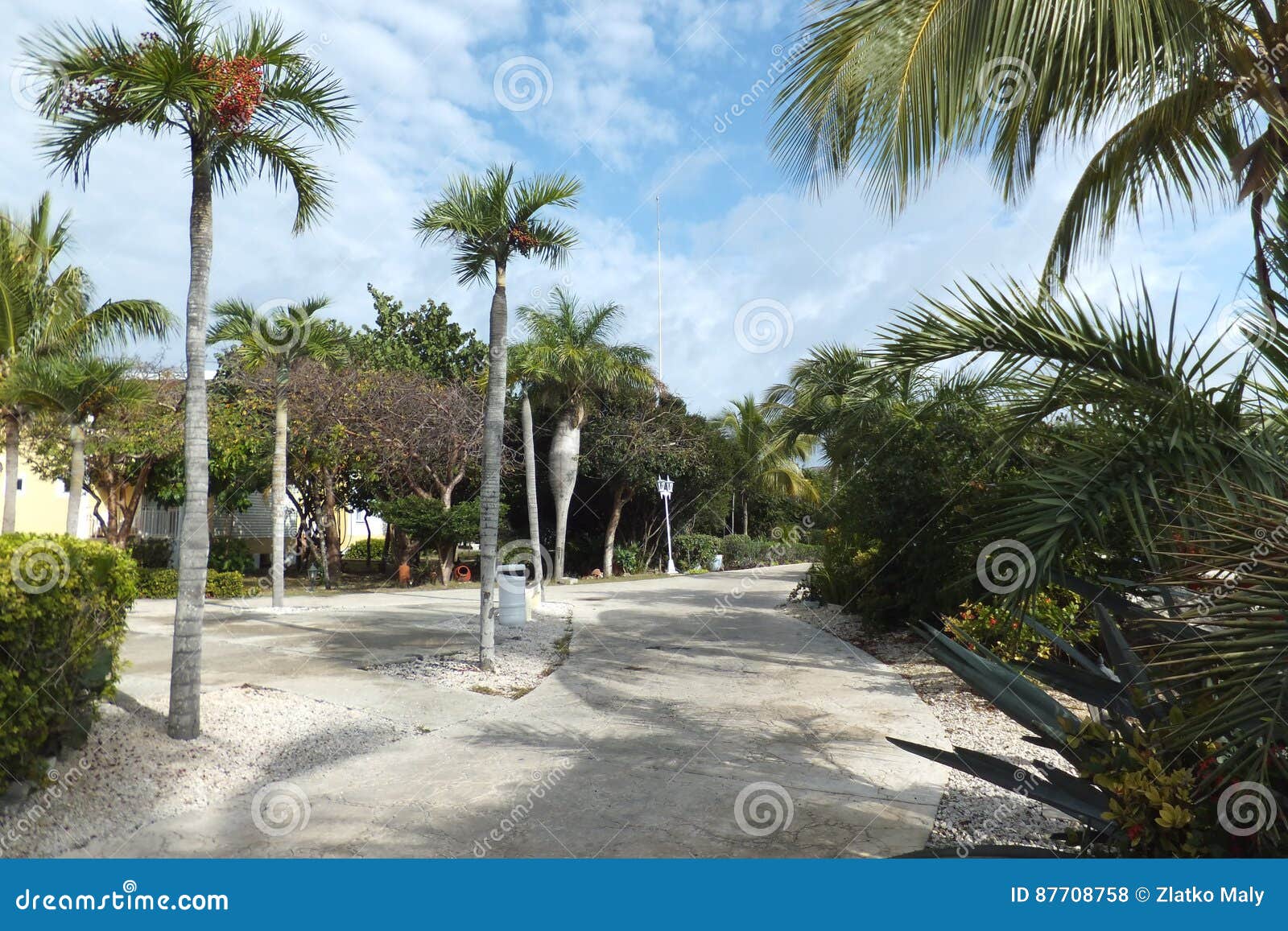 Hotel Melia Cayo Santa Maria - Cuba Fotografia Stock - Immagine di ...