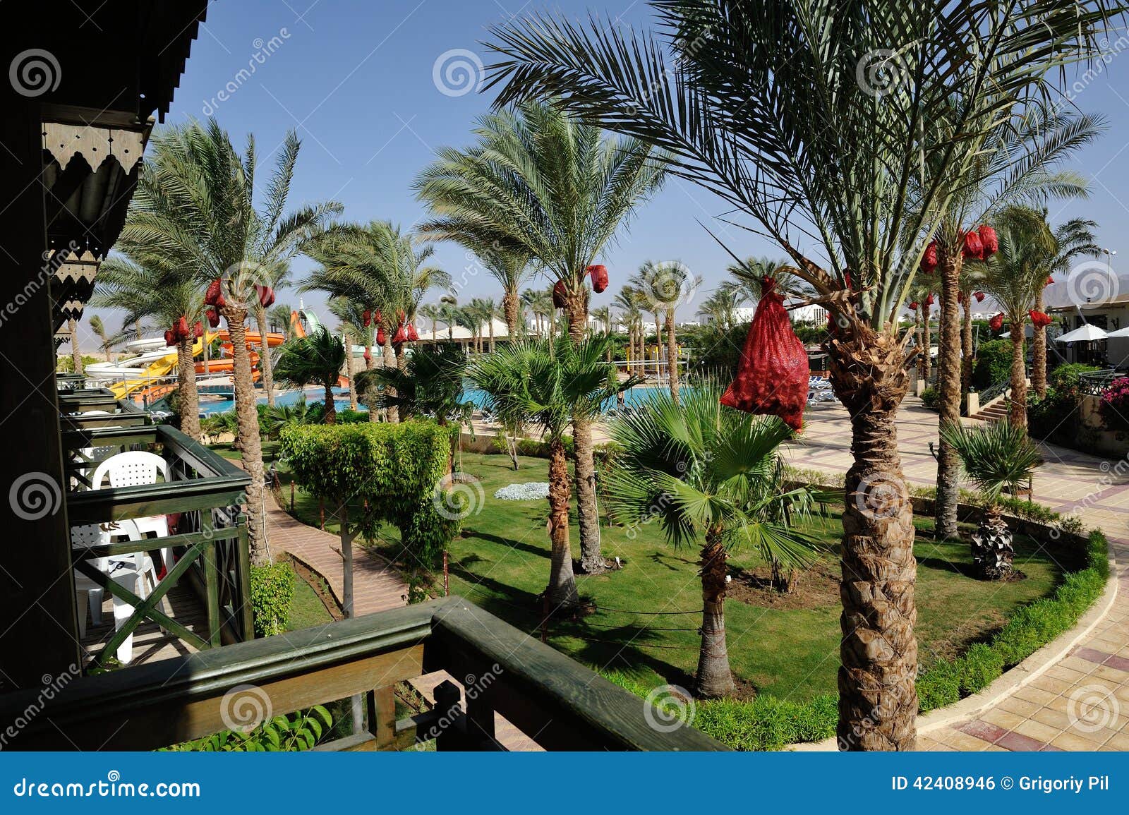 Hotel Sharm-el-Sheikh foto editorial. Imagen de palma - 42408946