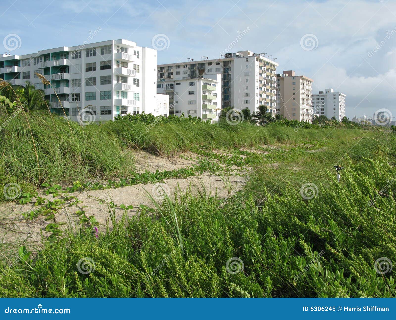 Hotels stock image Image palms resort beachfront 6306245