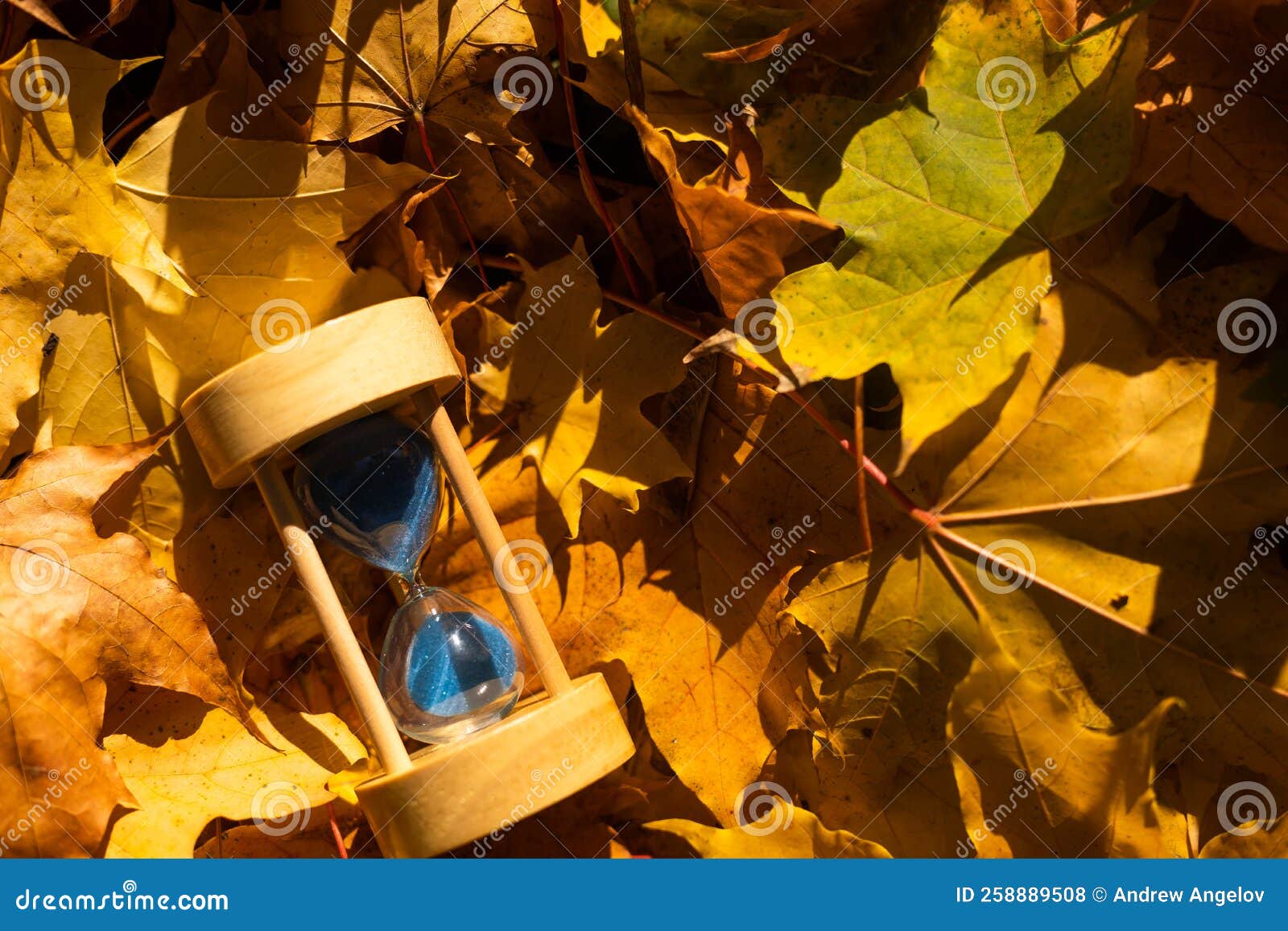 Hourglass and Autumn Leaves in the Park. a Symbol of Passing Time ...