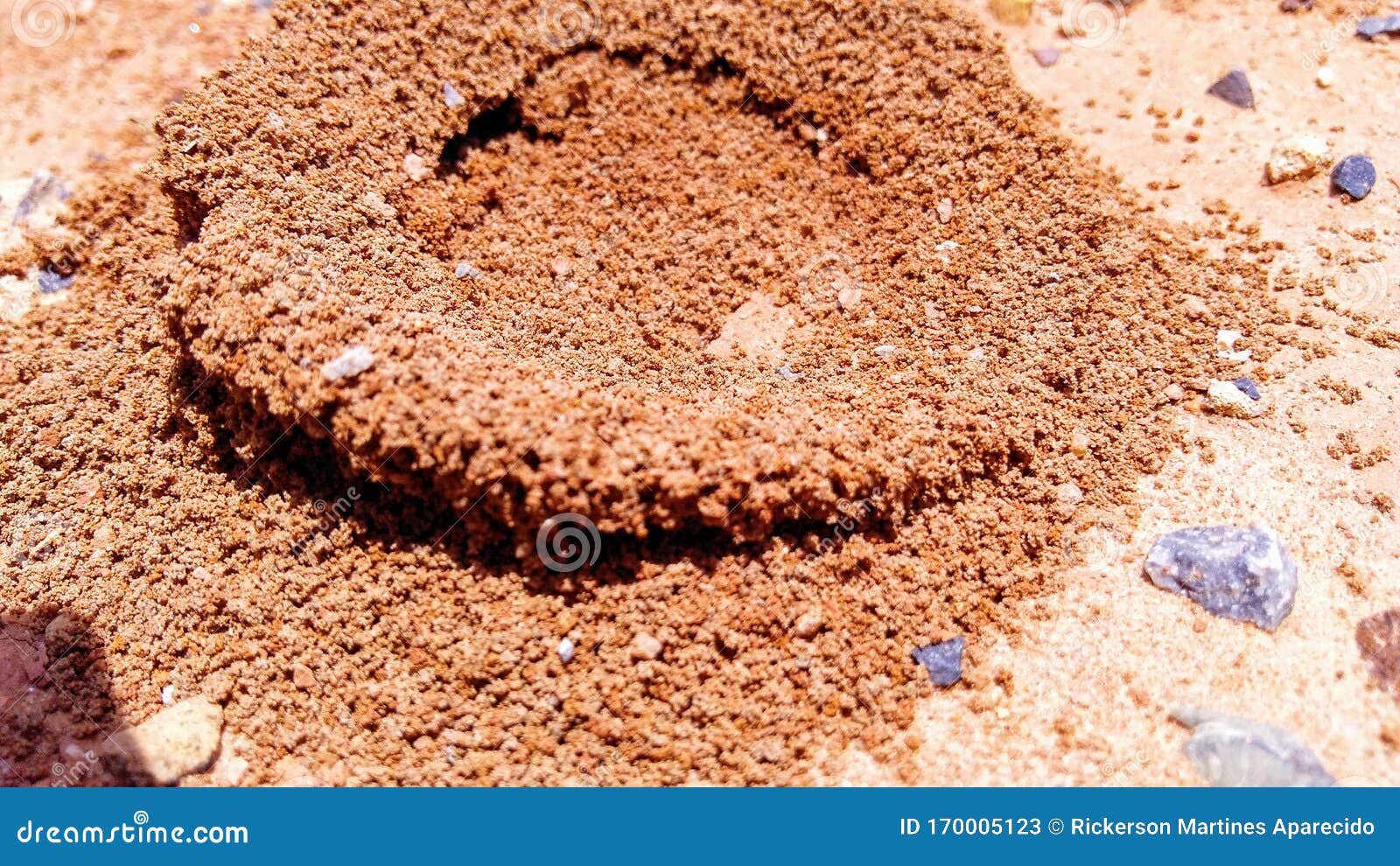 House Of Ants In Garden Of My House Stock Image Image Of
