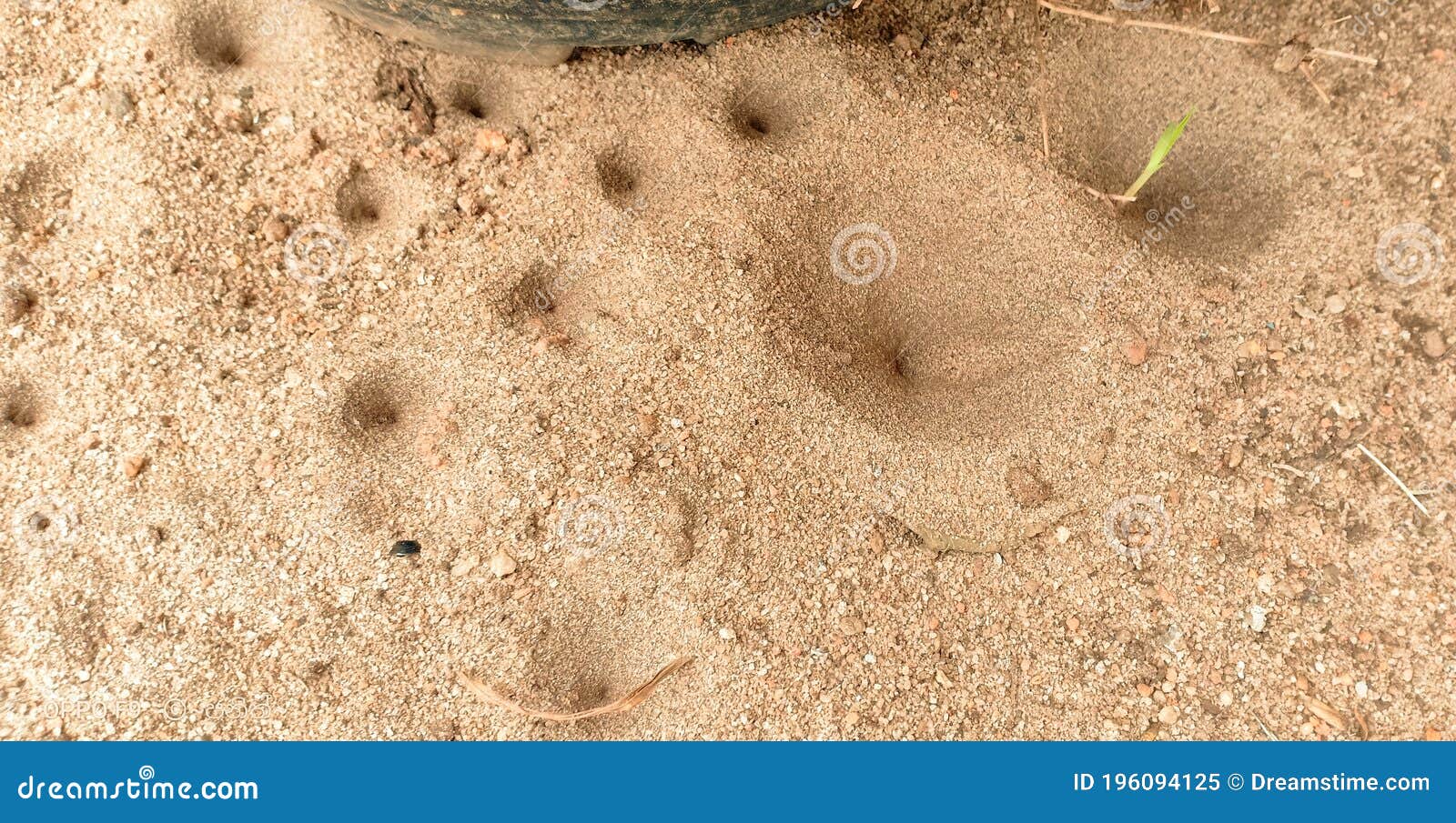 House of binkundaa stock image. Image of binkundaa, carving 196094125