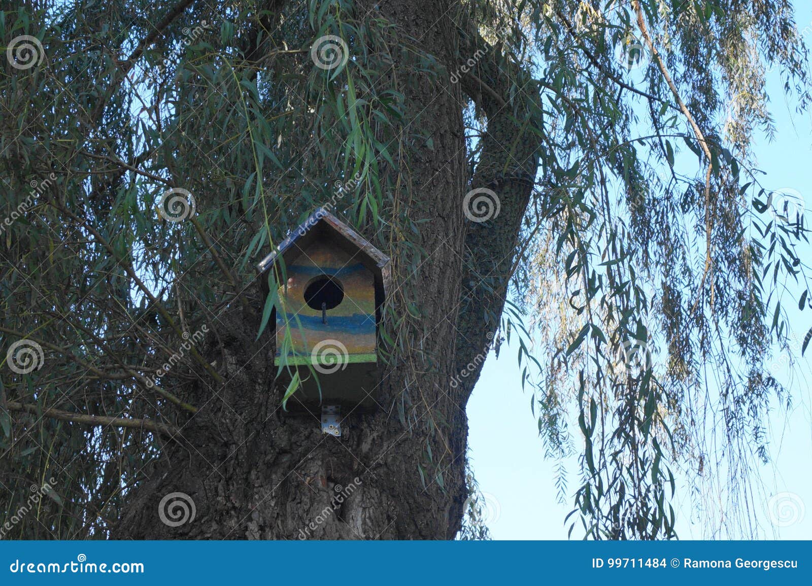 House for birds stock photo. Image of wooden, house, birch 99711484
