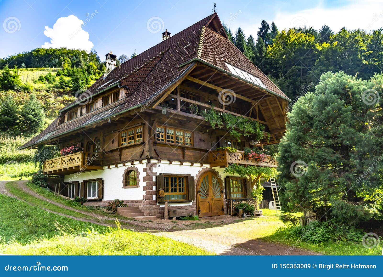  House  in Black  Forest  editorial stock image Image of black  150363009