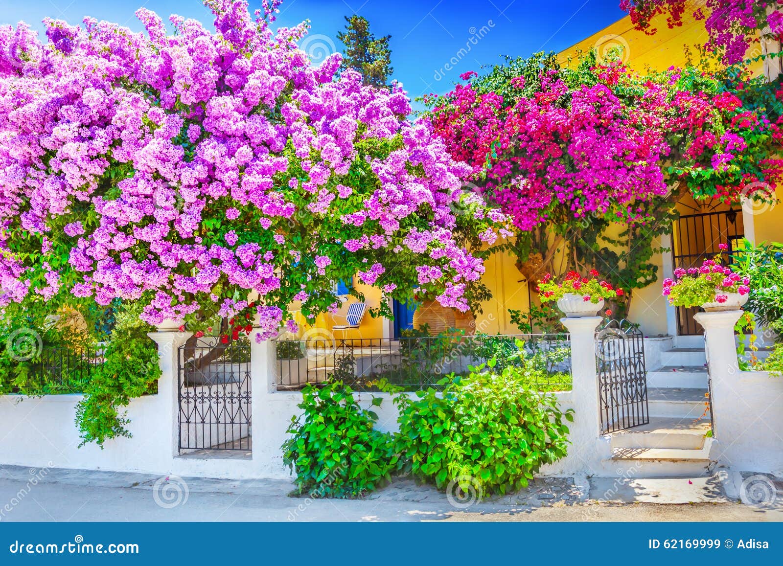 house with bougainvillea