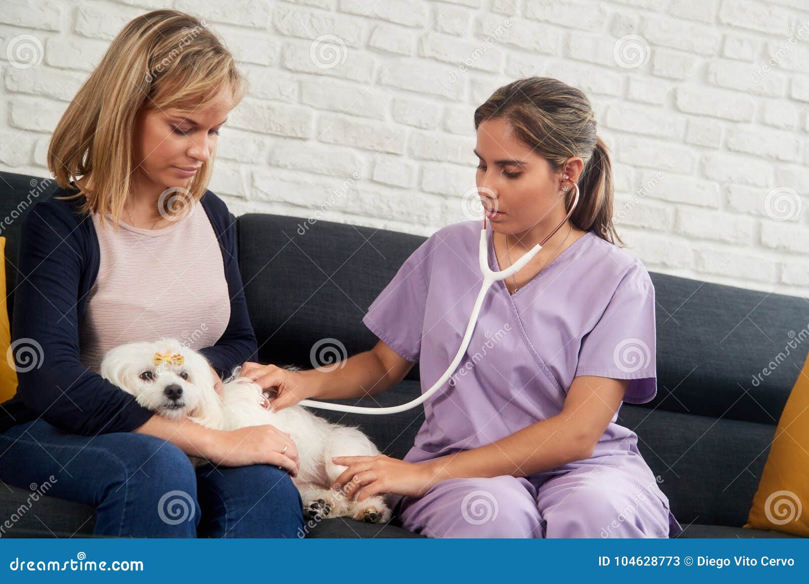 House Call Vet with Veterinary Dog Owner and Sick Pet Stock Image - Image  of help, occupation: 104628773
