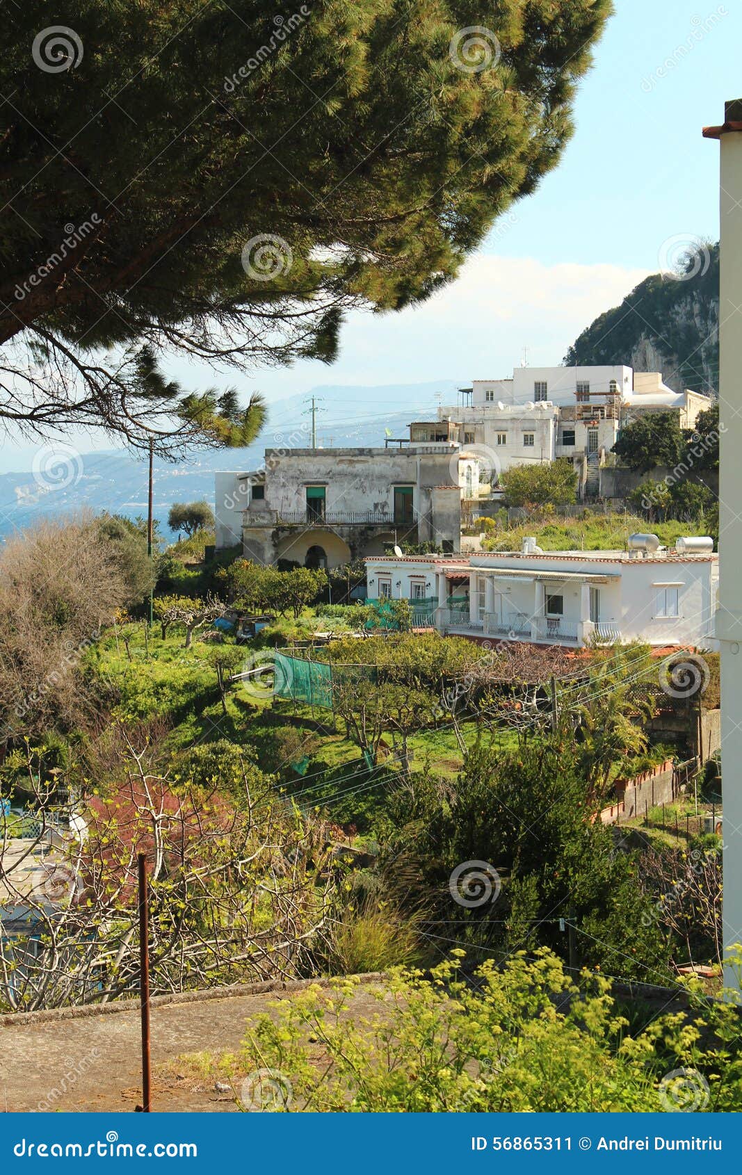 House in Capri, Italy stock image. Image of mediterranean 56865311