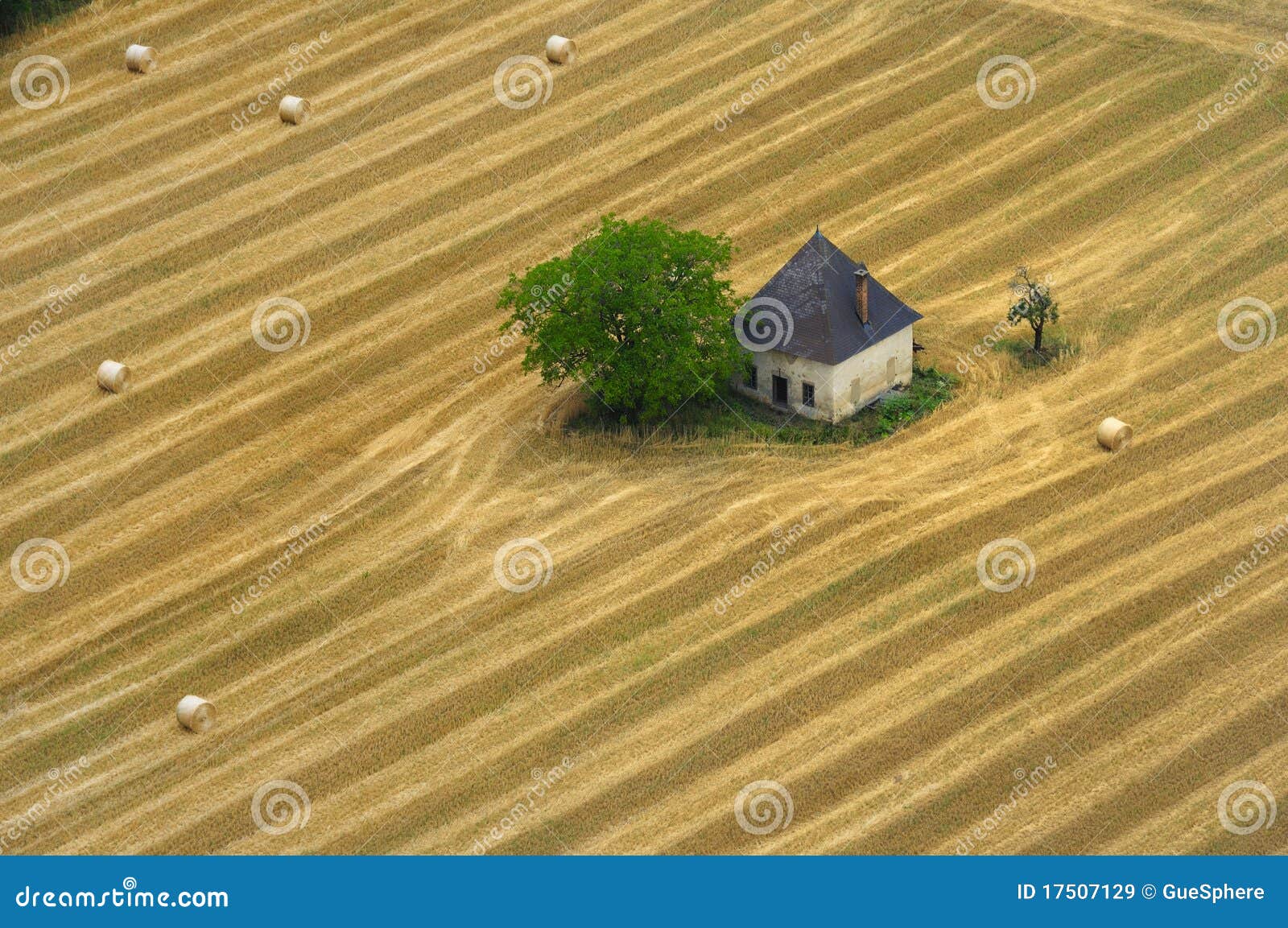 house in a cornfield