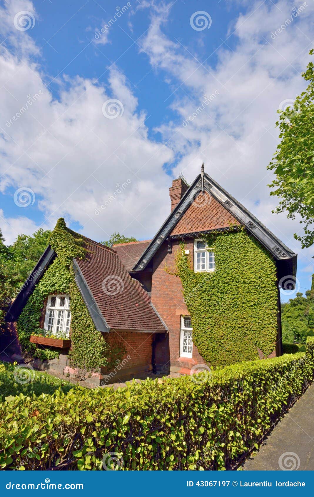 House covered with plant stock image. Image of environment 43067197