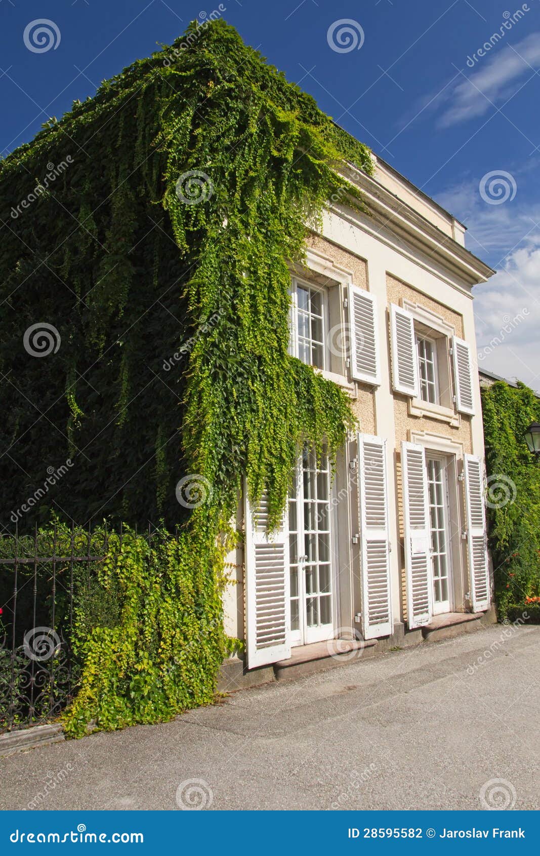 House with creeper stock photo. Image of light, facade 28595582