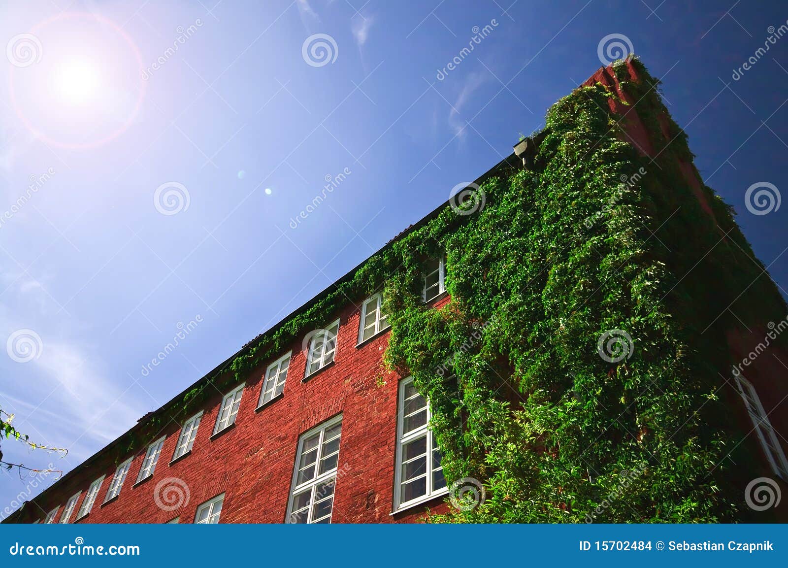 House with creepers stock photo. Image of blue, creeper 15702484