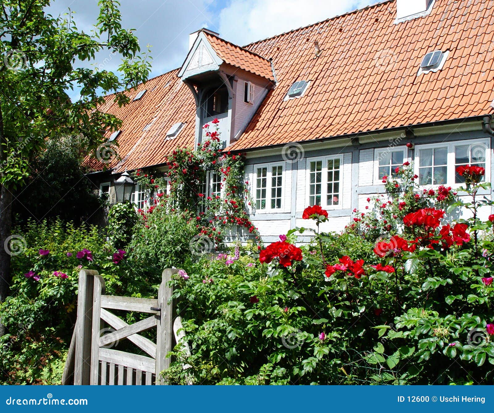 House With Flower Landscaping Stock Photo - Image of traditional, half