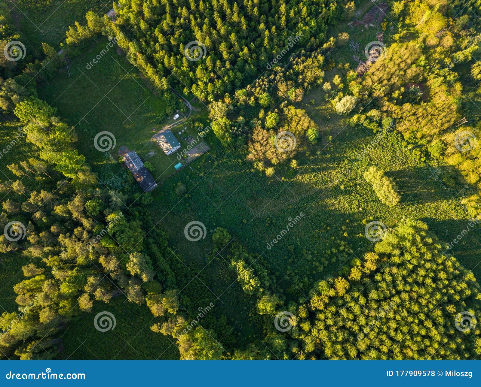 Forest forsthaus hi-res stock photography and images - Alamy