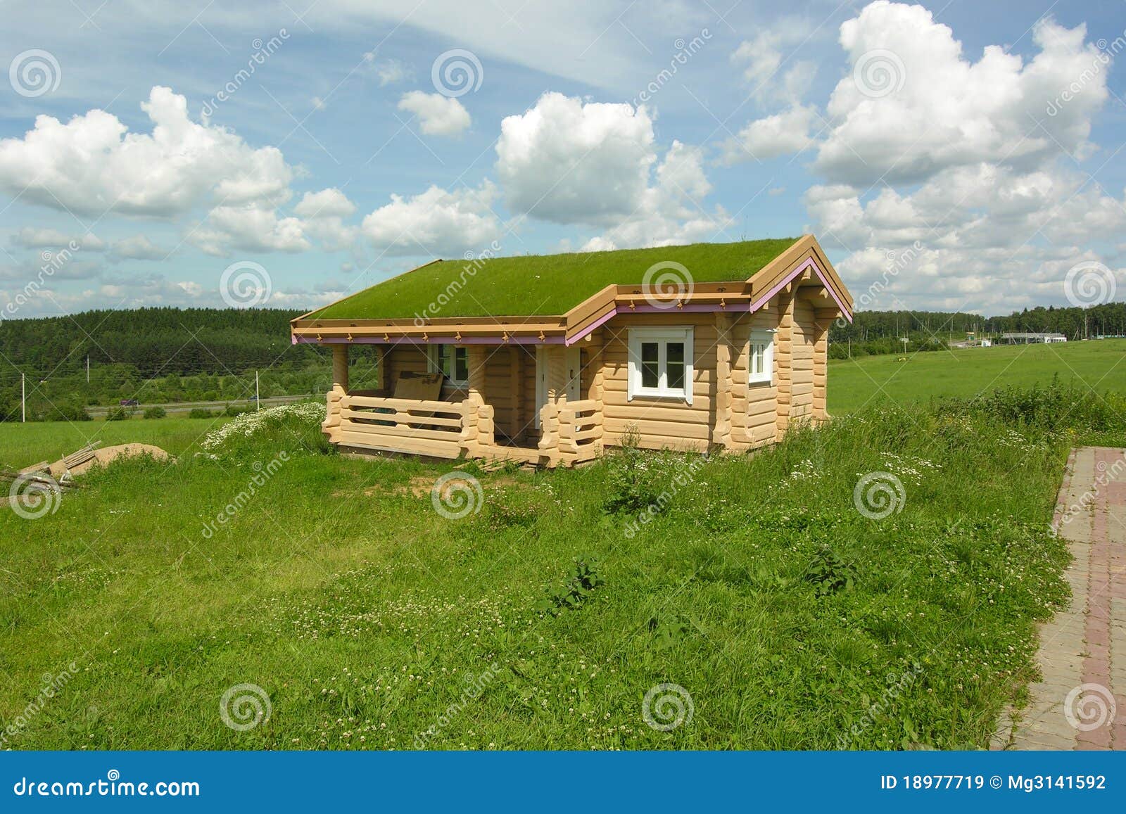 Wooden house, on the roof of the green grass grows.