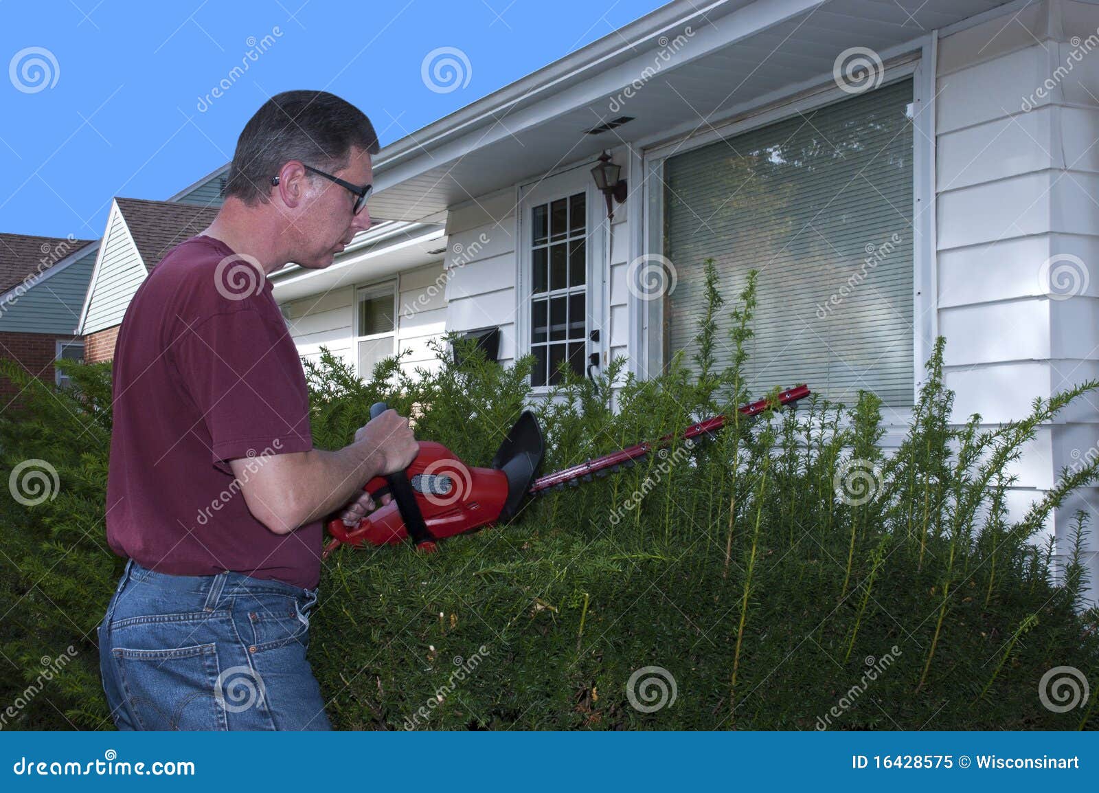 house home maintenance repair trim hedges shrubs